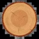 animowany plaster drzewa